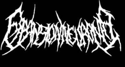 logo Expansion Neuronal logo Expansion Neuronal